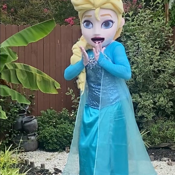 Adult costume Disney princess frozen, we can make any princess. - Picture 10 of 10